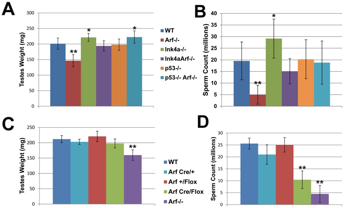 Decreased sperm production in <i>Arf</i>-null mice is compensated by loss of <i>Ink4a</i> or <i>p53</i>.