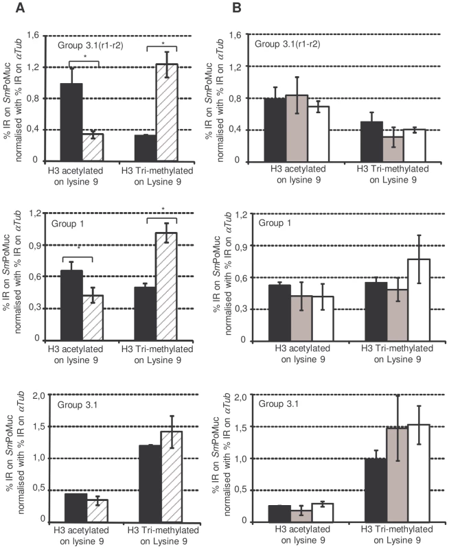 Chromatin immunoprecipitation on <i>Sm</i>PoMuc promoter regions.