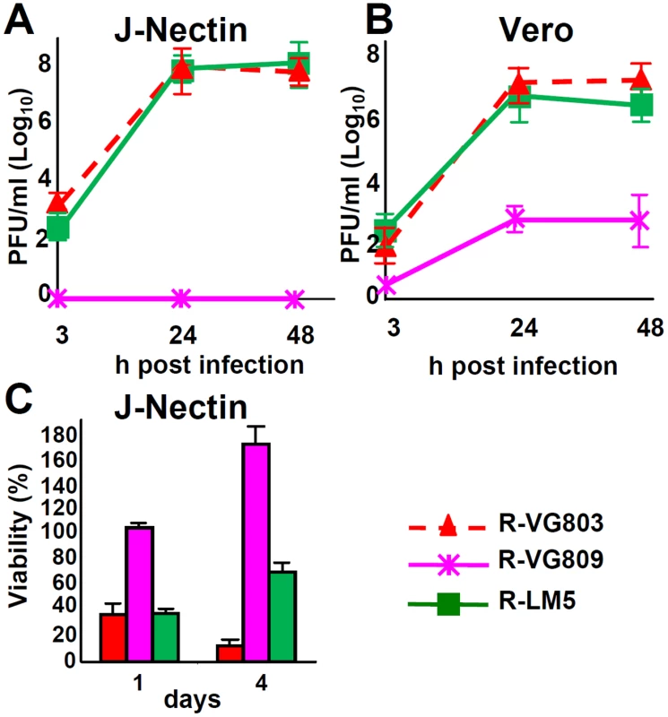 Detargeting conferred to R-VG809 by the AA 6–38 deletion in gD.