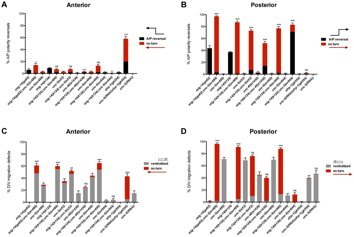 Netrin signaling and <i>mig-14/wntless</i> have redundant roles in A/P and D/V guidance of the DTCs.