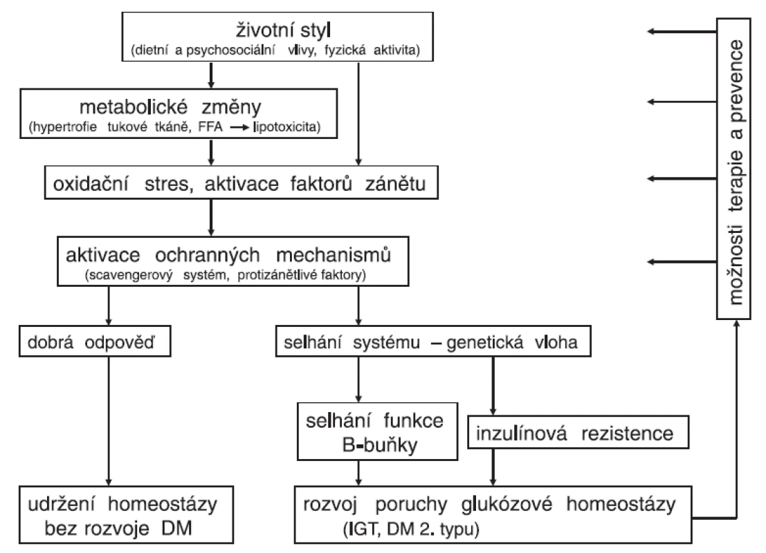 Schéma patogeneze diabetu 2. typu a možnosti terapie a prevence