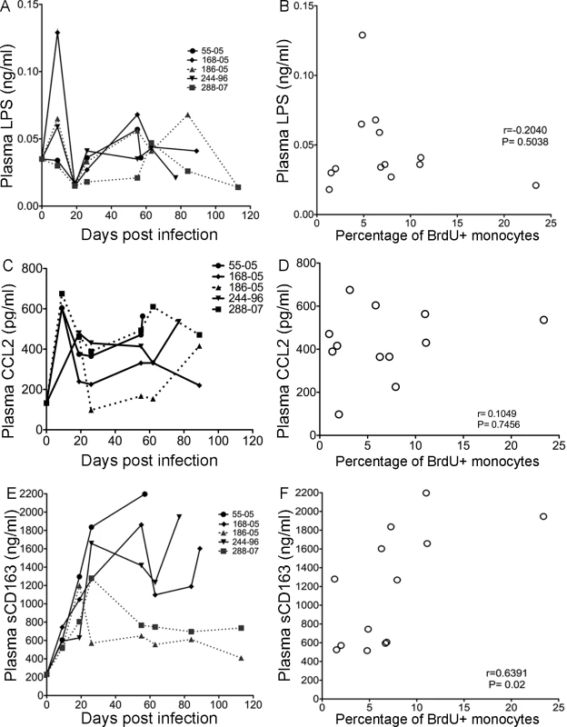 sCD163 levels in plasma, but not LPS or CCL2, correlates with percentage of BrdU+ in total monocytes.
