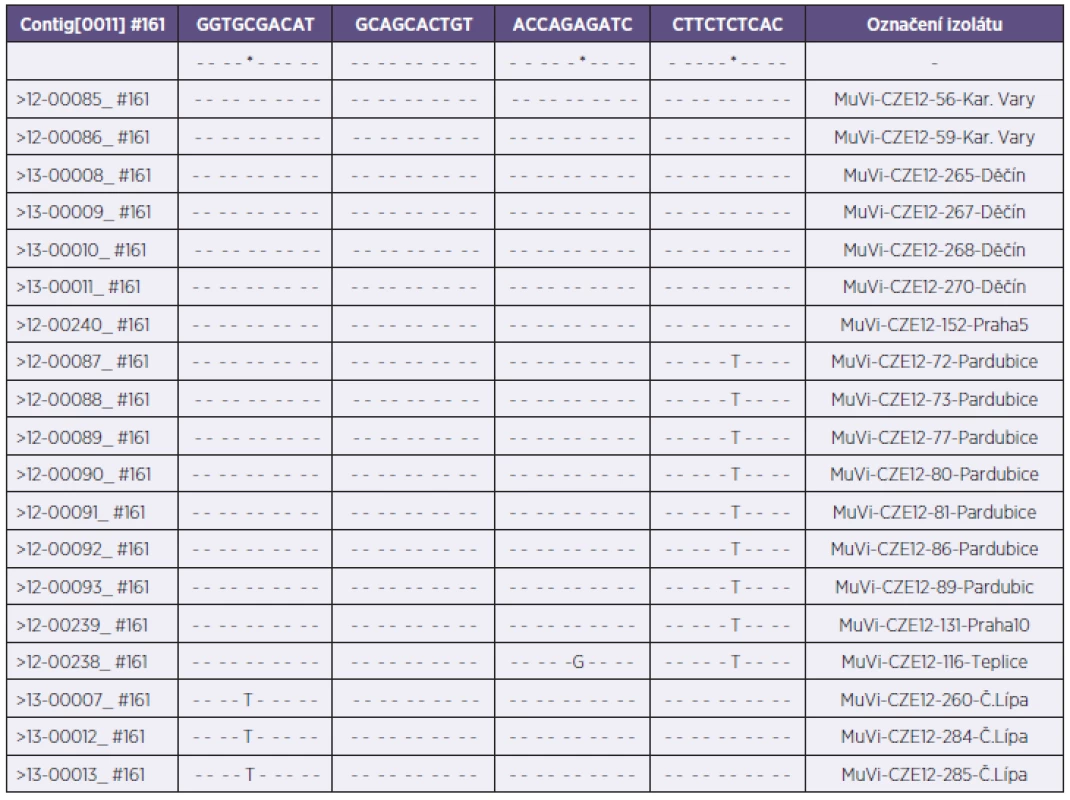 Vzájemné porovnání řazení nukleotidů jednotlivých variant genotypu G (MuV-seq-SH-CZE)
Table 2. Comparison of the nucleotide orders in various genotype G variants (MuV-seq-SH-CZE)