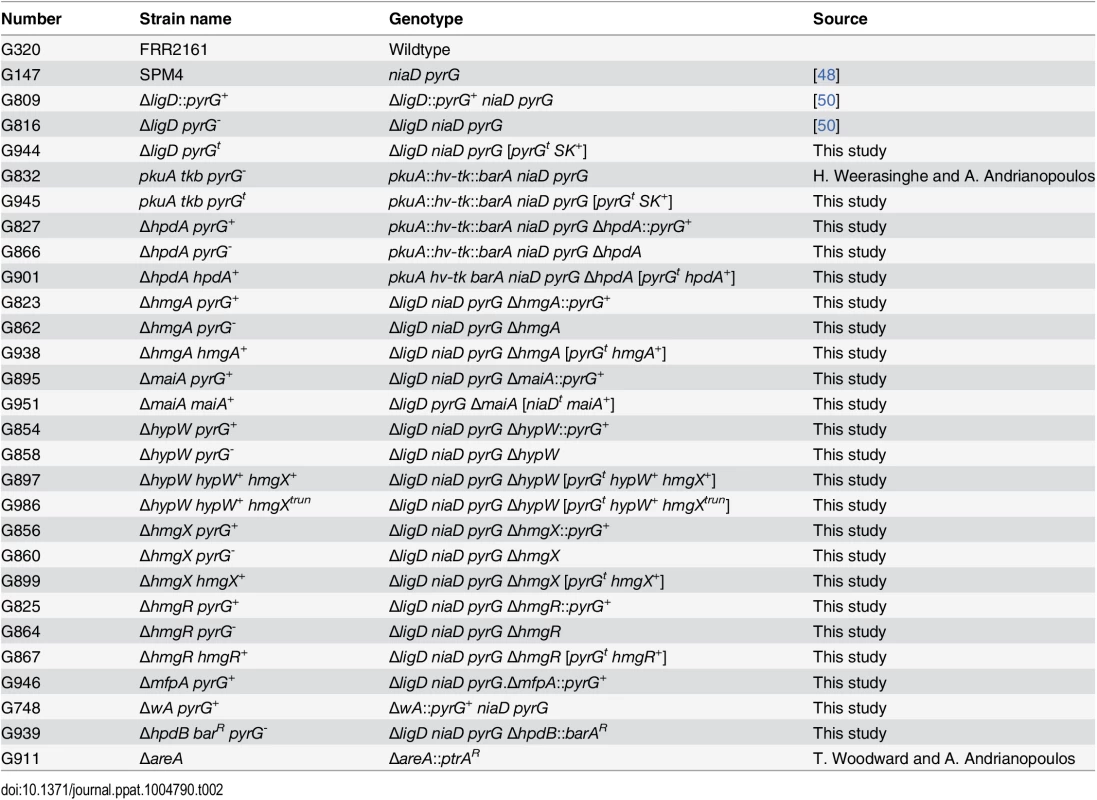 Strains used in this study.