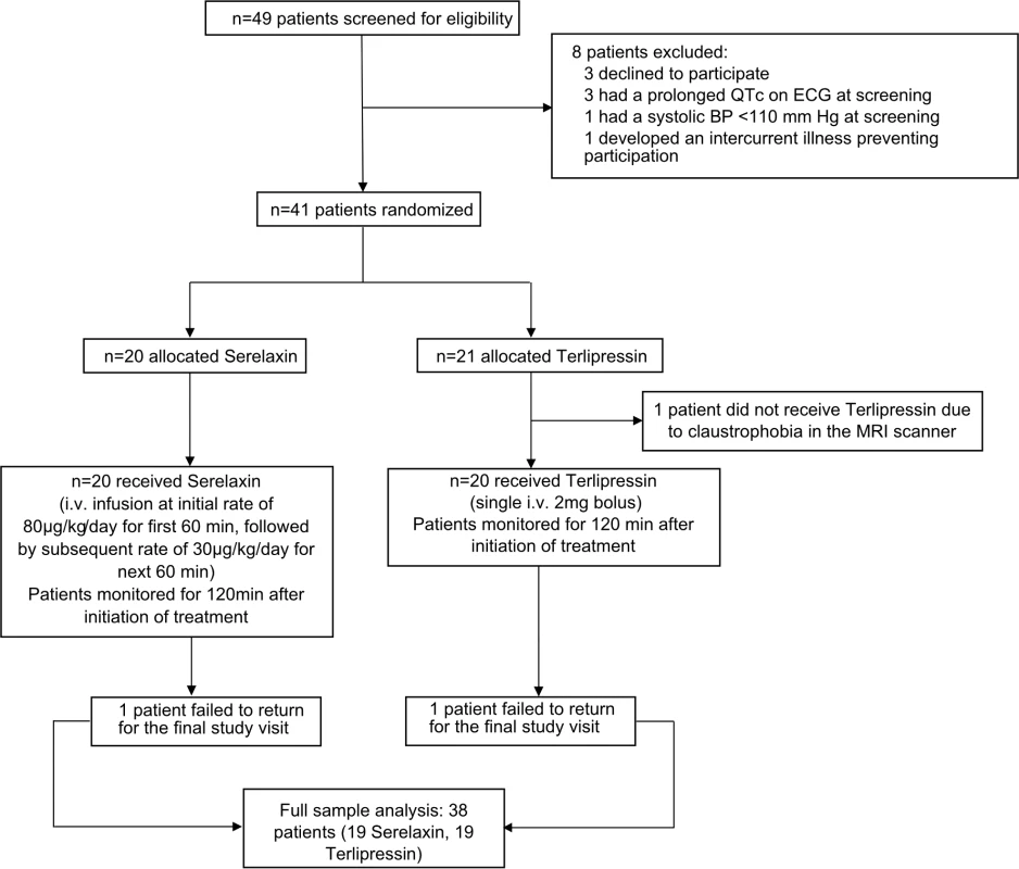 Flow chart of participants in the study.