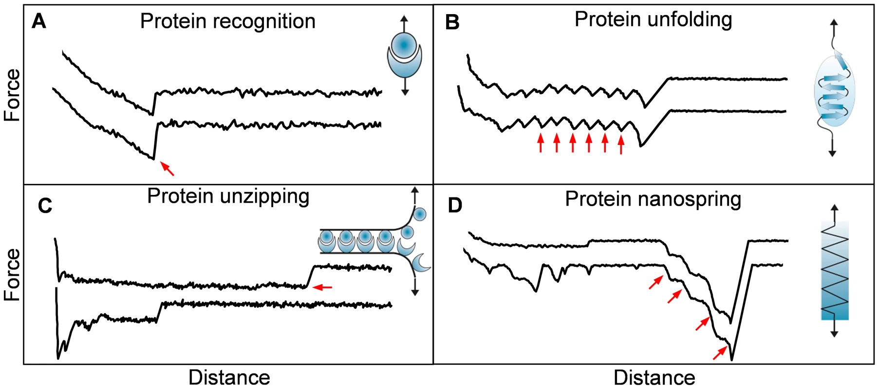 Single-molecule force spectroscopy experiments unravel the nanomechanics of microbial adhesins.