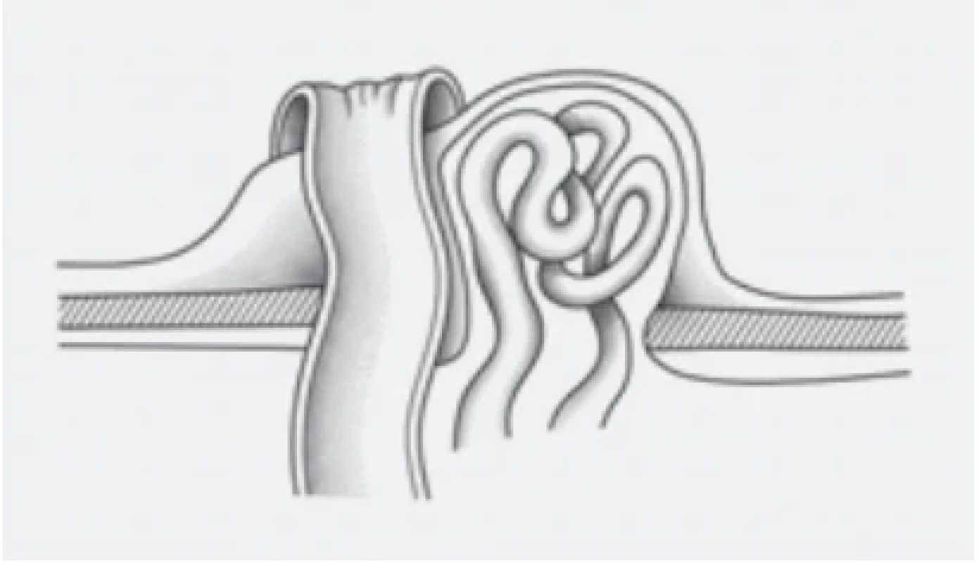 . / Fig. 2.