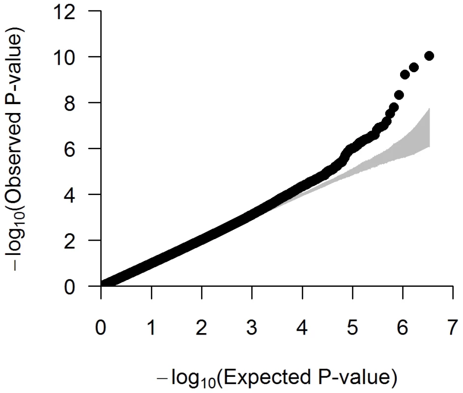 Quantile–quantile (QQ) plot of the meta-analysis with up to 3.3 M SNPs across 9 studies (N = 20,427).