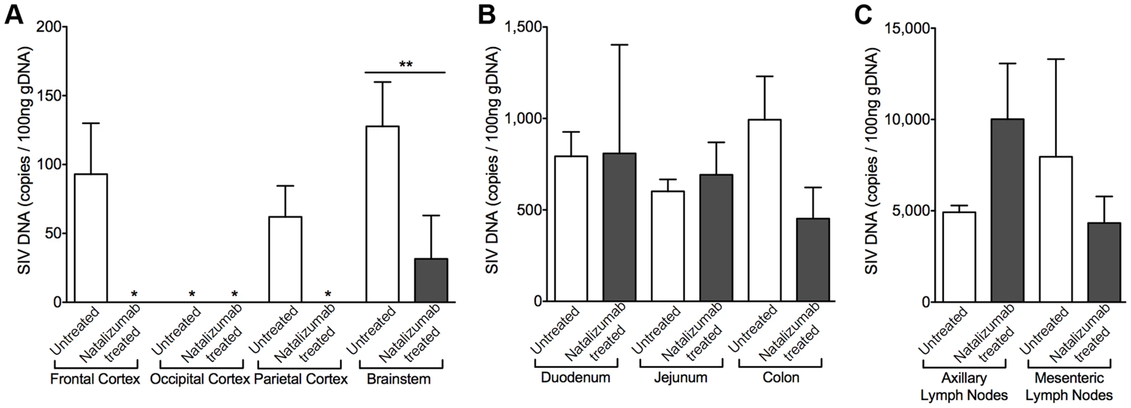 Early natalizumab treatment blocks viral DNA expression in brain, but not gut and lymph nodes.