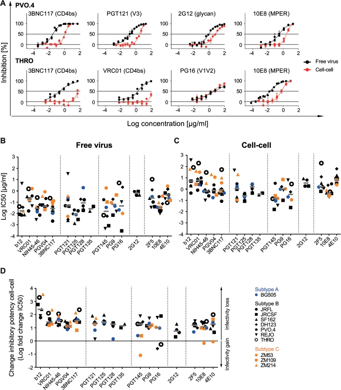 Decrease of bnAb activity during cell-cell transmission is variable and strain-dependent.