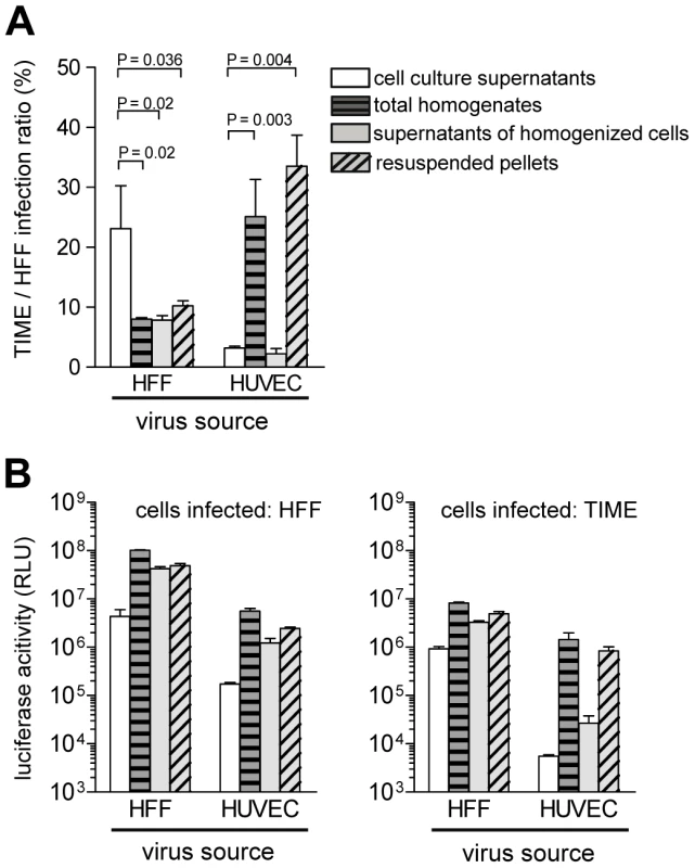 Endothelial cells retain EC-tropic virus particles.