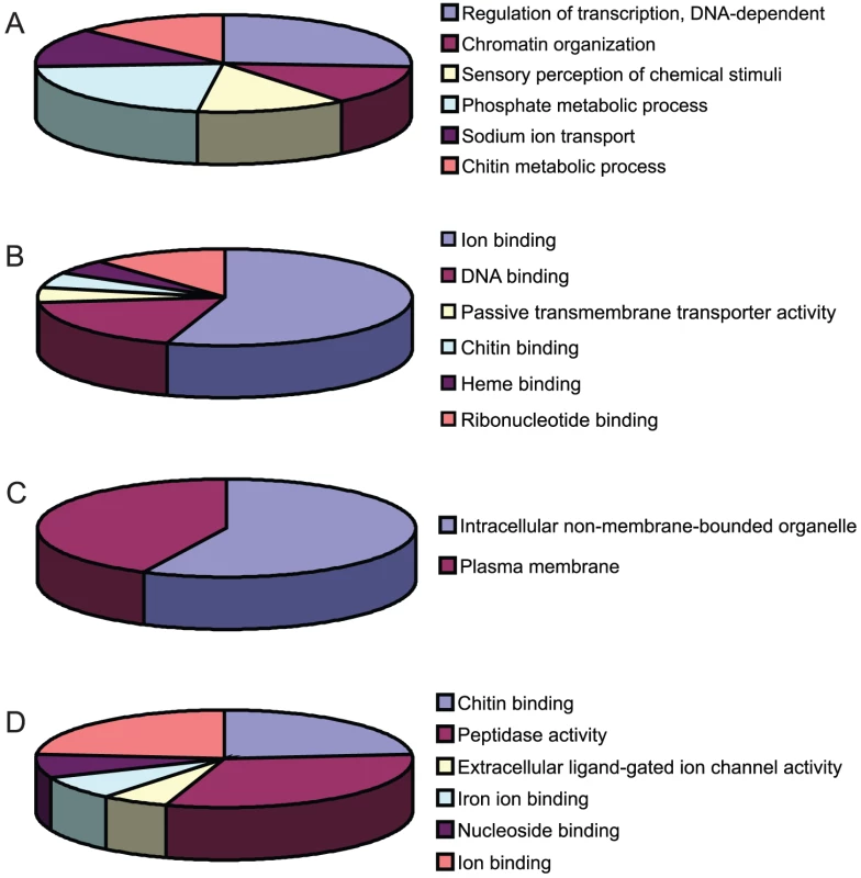 Functional clustering of DEGs.