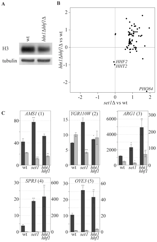 COMPASS-repressed genes are derepressed upon decrease in nucleosome content.