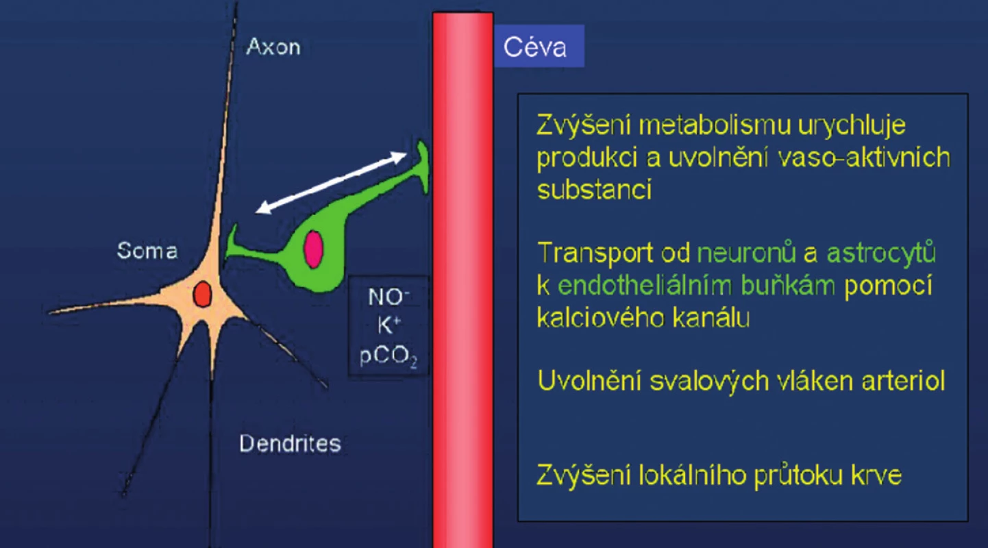 Schéma neuro-vaskulární vazby: při zvýšení neuronální aktivity dojde tímto mechanismem k lokálnímu zvýšení krevního průtoku