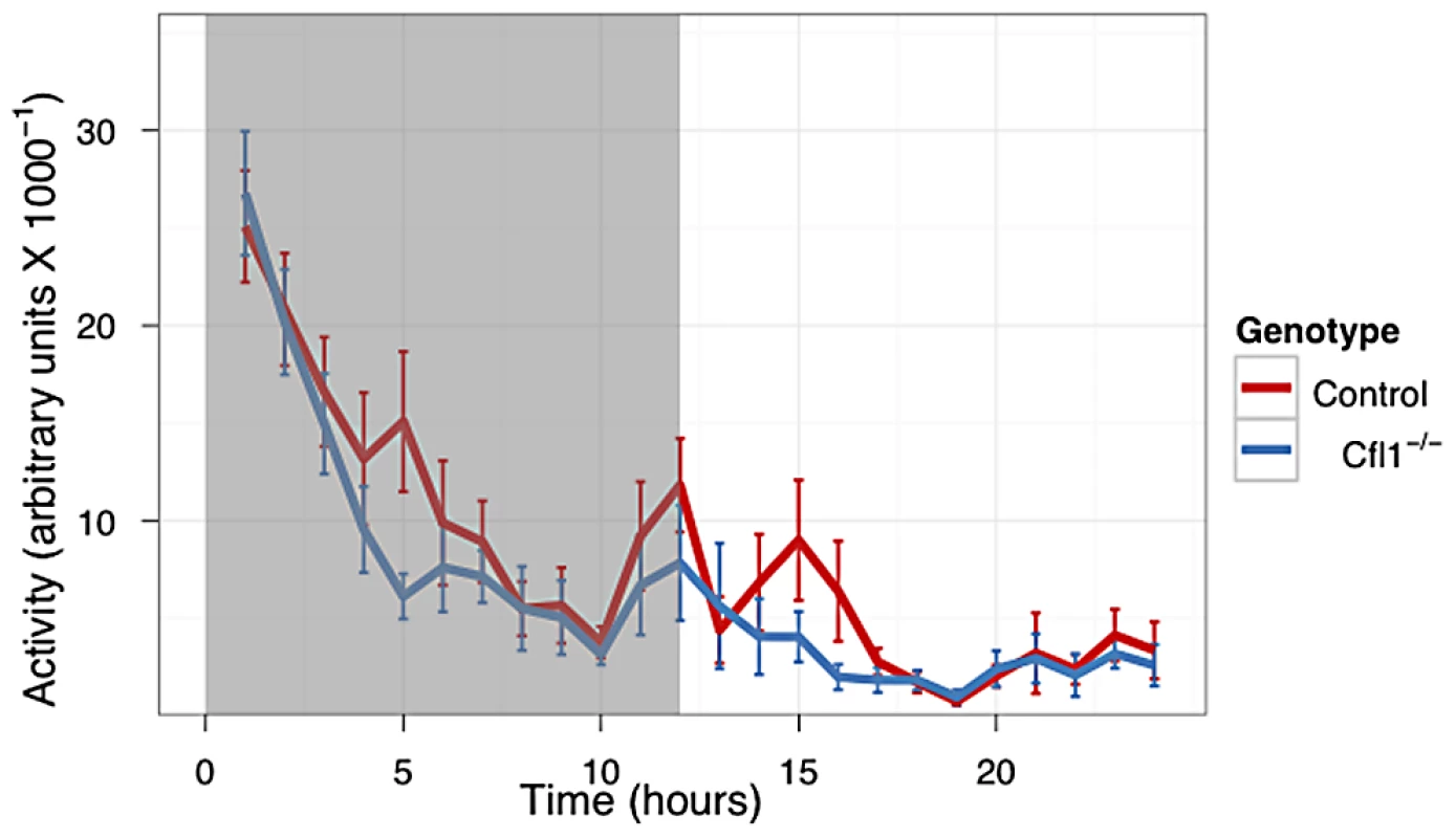 Home Cage activity of n-Cof<sup>flx/flx,CaMKII-cre</sup> mice was not increased compared to n-Cof<sup>flx/flx</sup> controls kept on a 12 h dark-light cycle.