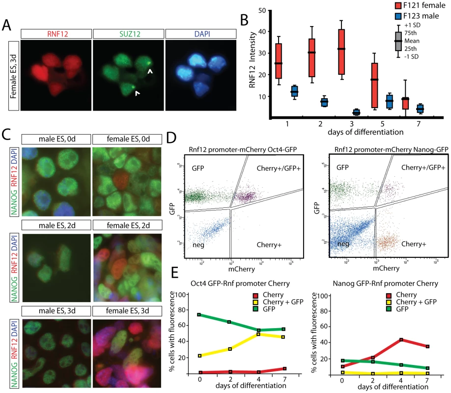Counteracting roles for RNF12 and NANOG in XCI.