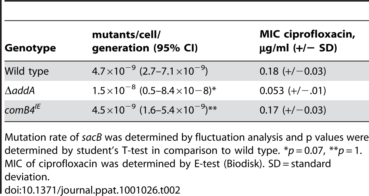 Mutation rate and sensitivity to DNA damage are unchanged in cells expressing the DNA damage response.