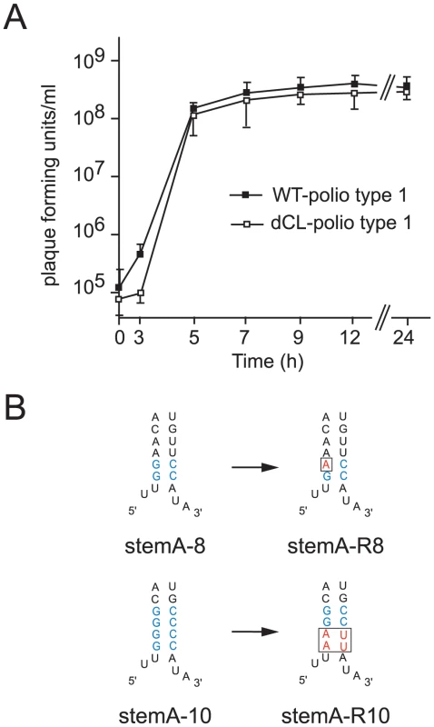 Analyzing the evolution of poliovirus carrying lesions within Stem A.