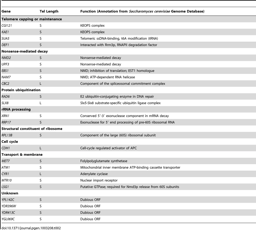 List of <i>S. cerevisiae</i> TLM genes required for Type II survivor formation.