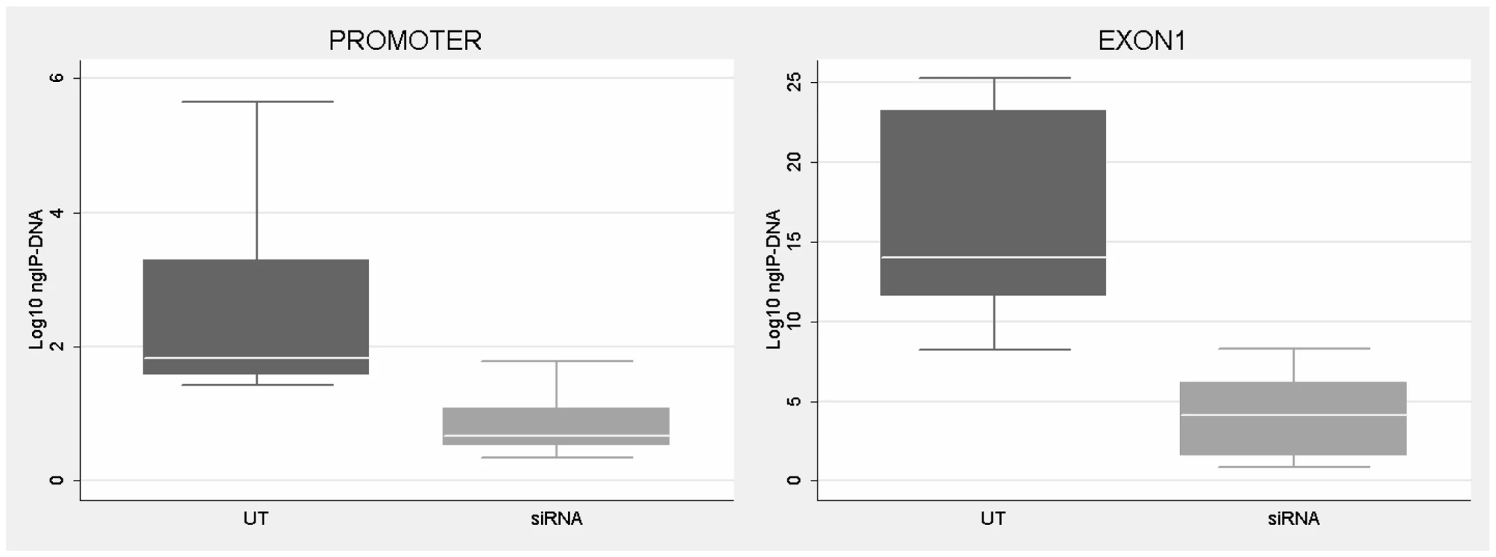 CTCF binding analysis on <i>FMR1</i> gene after <i>CTCF</i> knock-down.