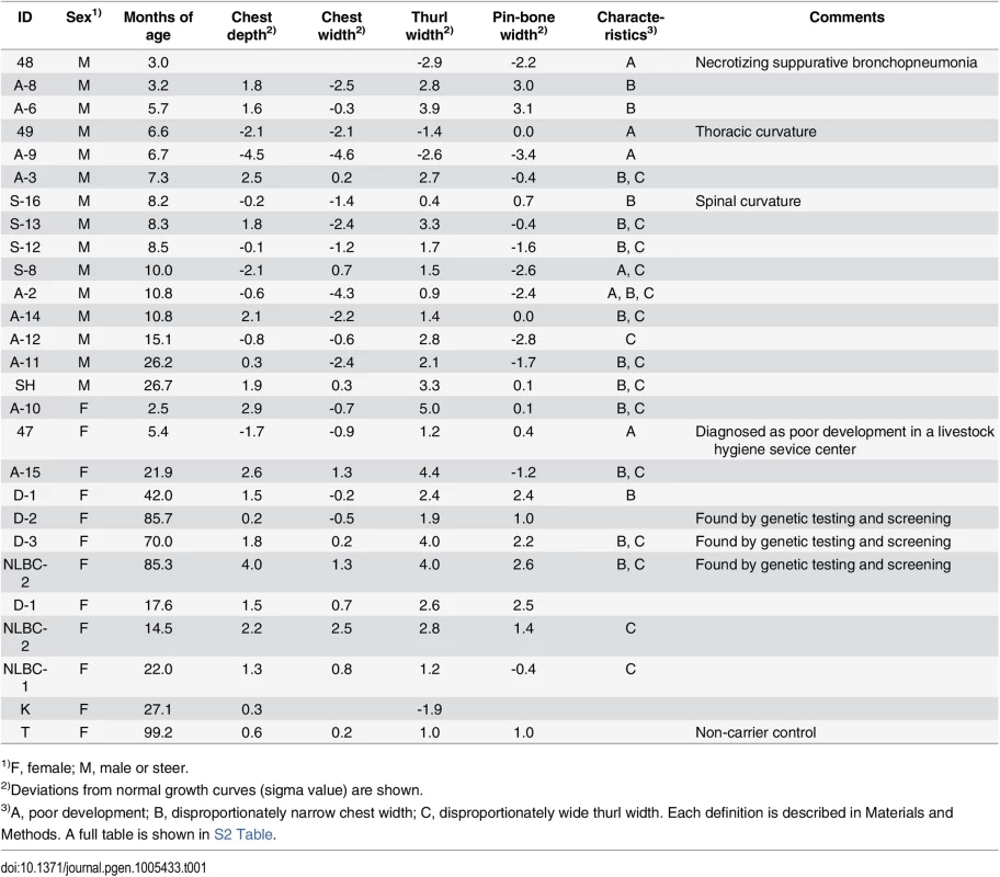Deviations of the skeletal measurements of the FGD3 Cys-171 homozygotes and a non-carrier cow from normal growth curves.