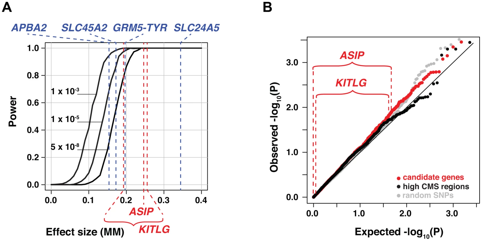 Power and candidate gene analyses.