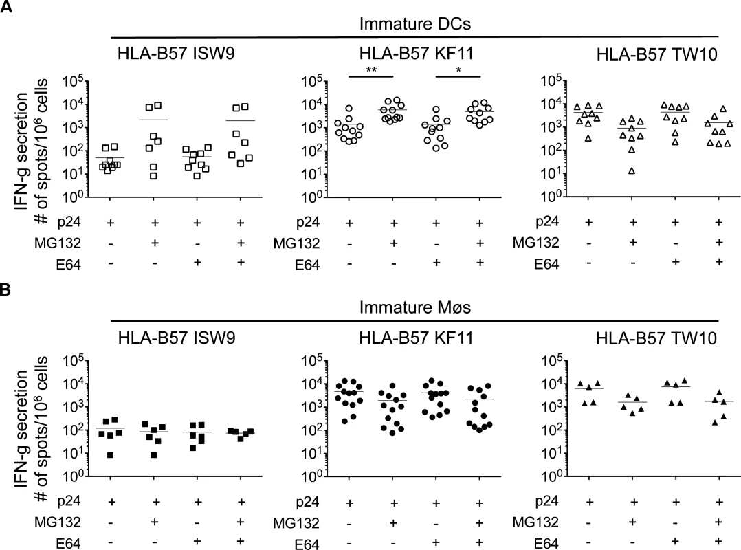 Inhibition of proteasomes increases B57-KF11 and B57-ISW9 epitope cross-presentation by DCs but not Møs (A) Immature DCs (open symbols) and (B) immature Møs (solid symbols) were pretreated with proteasome inhibitor (MG132) or a broad inhibitor of cysteine proteases (E64) before addition of recombinant HIV-1 p24 protein.