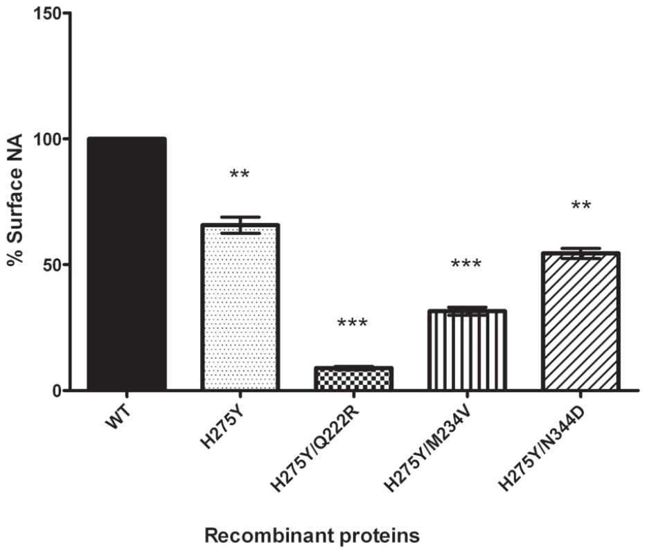 Surface activity of recombinant A/Brisbane/59/2007-like (H1N1) neuraminidase proteins.