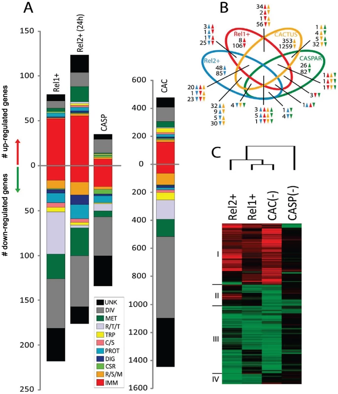 Comparative transcriptome analysis of fat body genes in REL1+ and REL2+ transgenic mosquitoes.