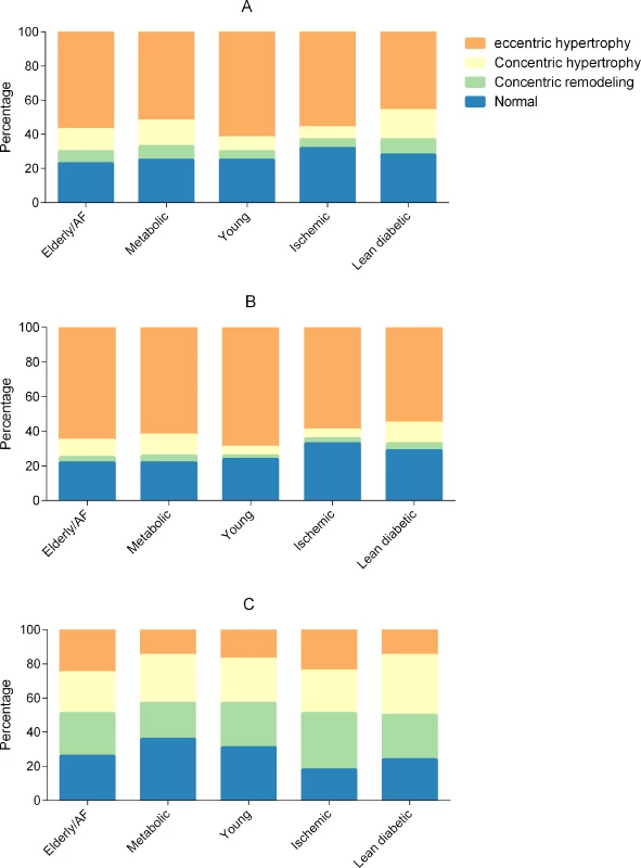 Bar graphs showing cardiac geometry across multimorbidity groups.