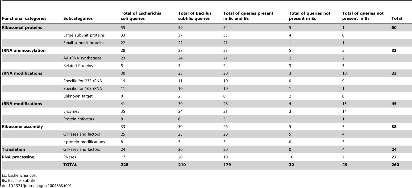 Genes coding for proteins implicated in the biosynthesis and functions of translation machinery in model bacteria.