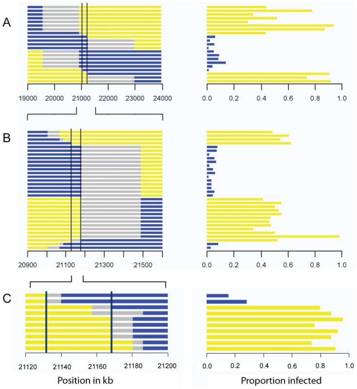 Mapping resistance to the sigma virus.