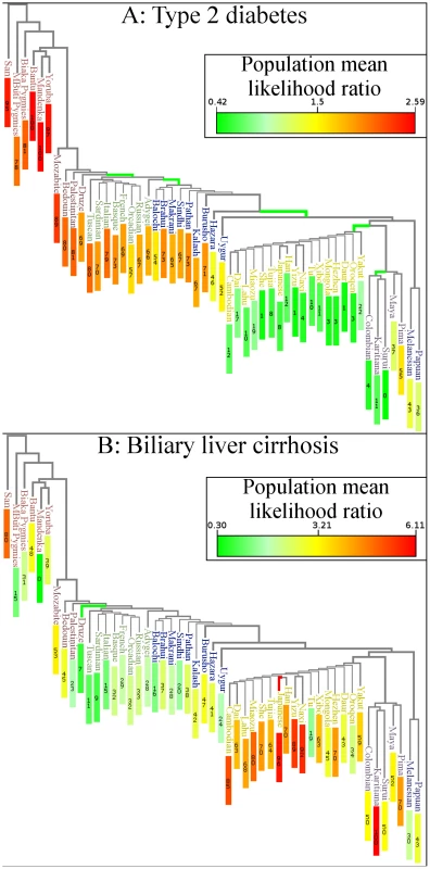 Genetic risk in the context of human relationships.