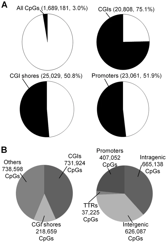 Coverage of CpGs for RRBS analysis.
