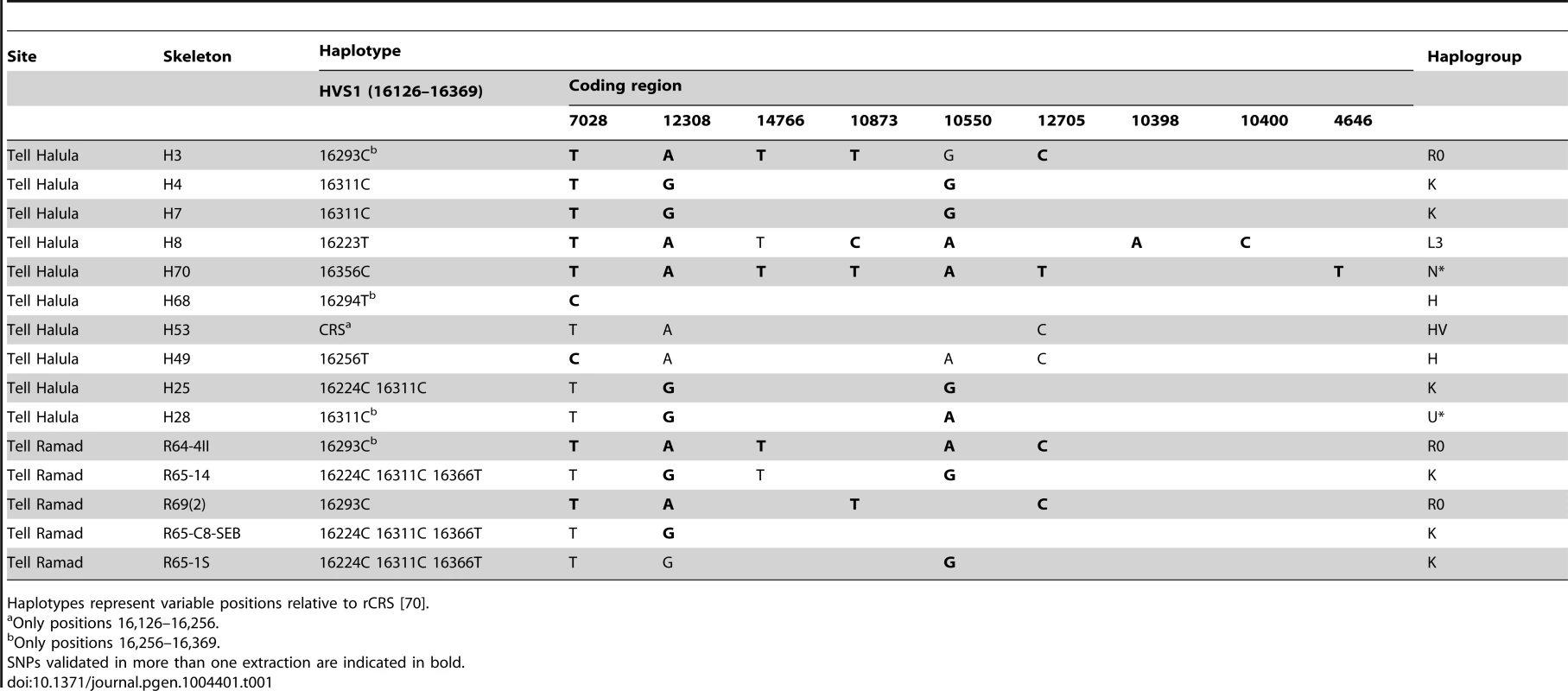 Mitochondrial DNA typing of 15 Near Eastern PPNB skeletons.