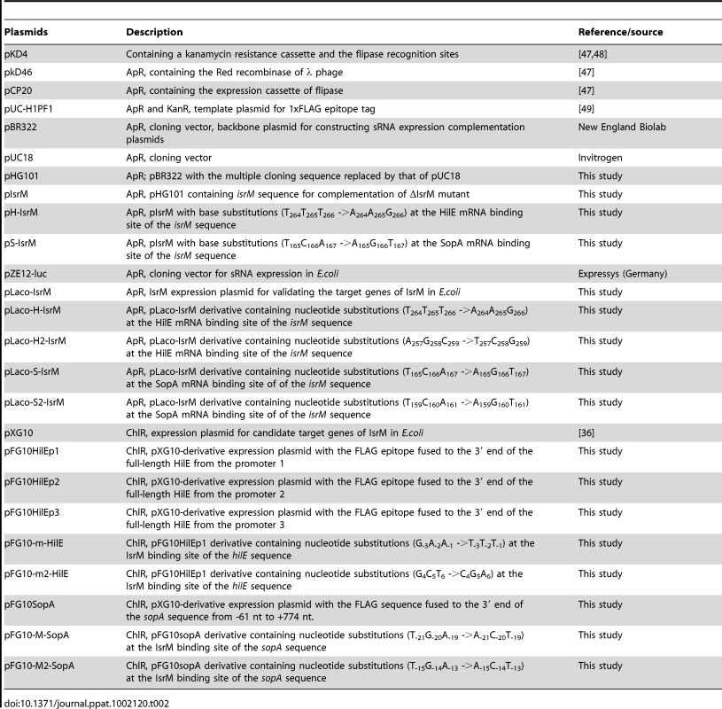 Plasmid constructs used in the study.