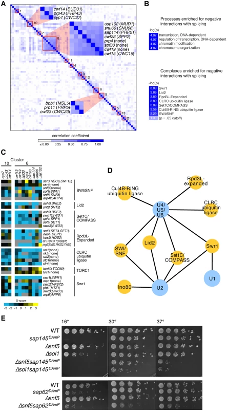 Splicing has strong negative genetic interactions with the chromatin machinery.