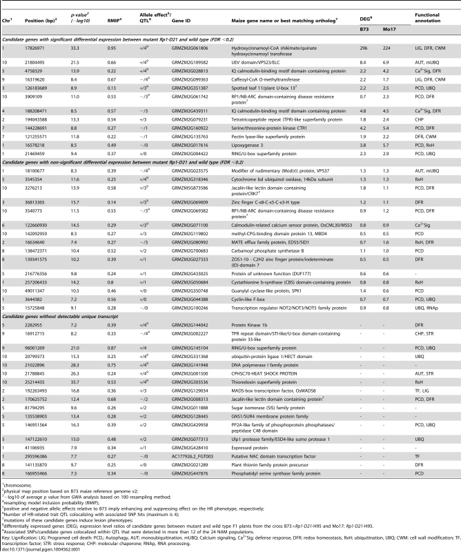 SNPs significantly associated with HR-related traits (LES, HTR, SWR and DTAR), and closest predicted maize genes (more details can be found in <em class="ref">File S5</em>).