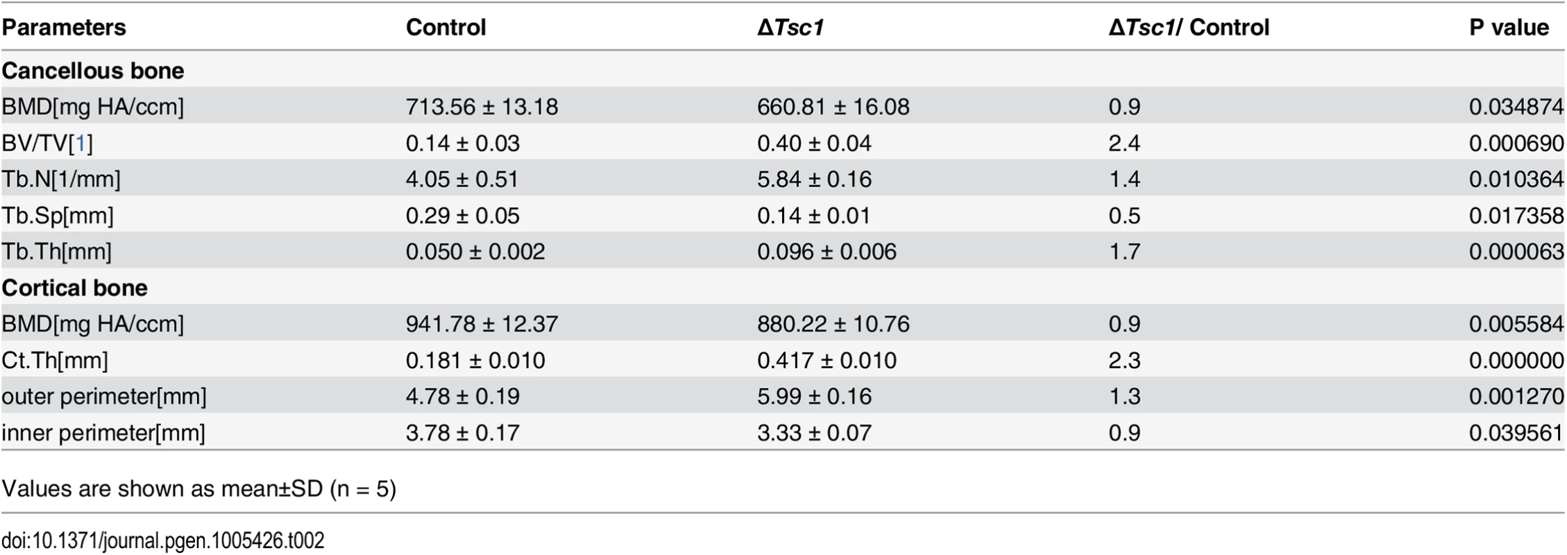Micro CT analysis of ΔTsc1 mice at 10 weeks of age.