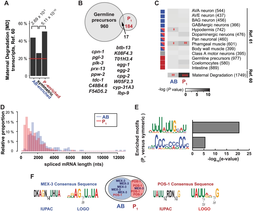 Characteristics of asymmetrically abundant genes.
