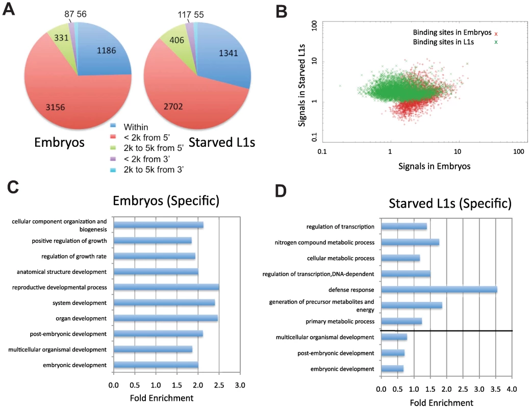 Characterization of PHA-4 binding patterns and gene targets.