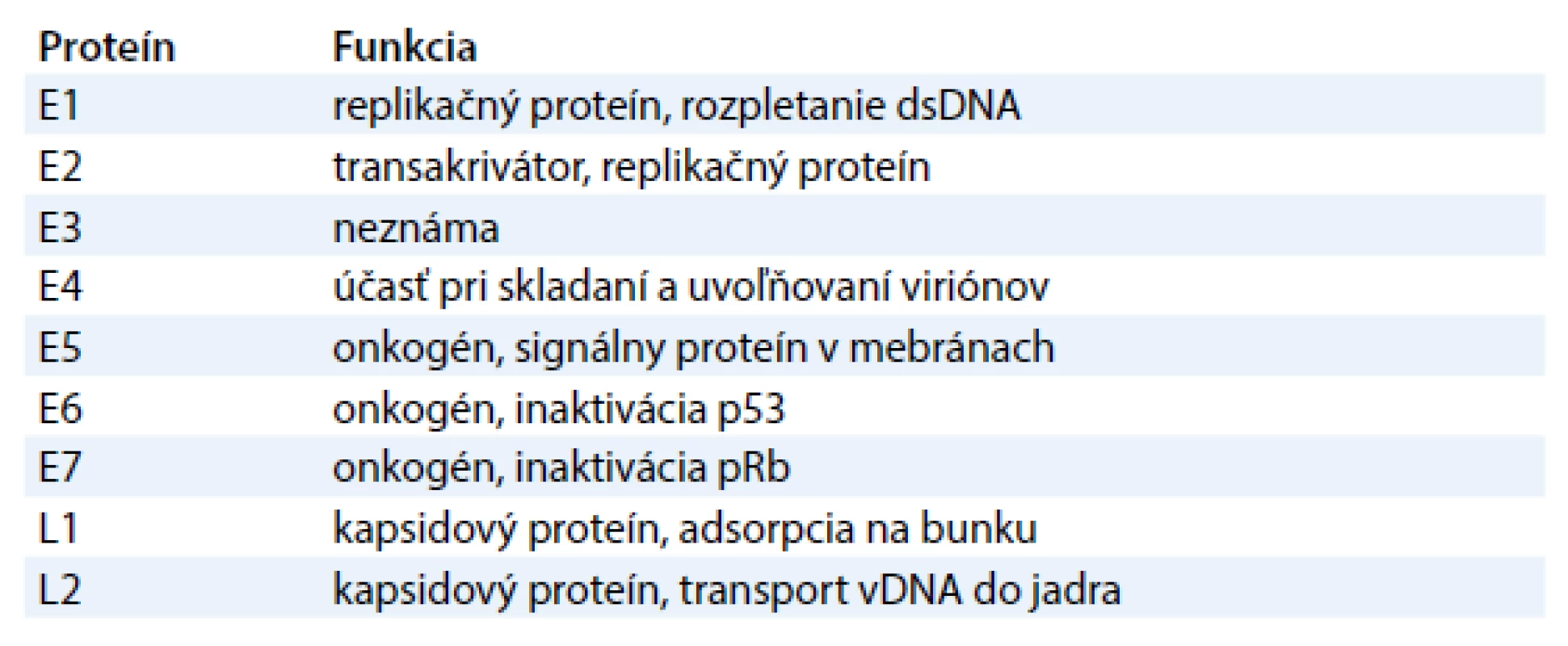 Tabuľka znázorňujúca funkciu jednotlivých génov papilómov [11].