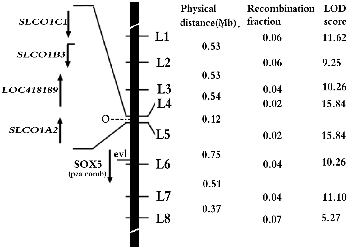 Refined localization of <i>O</i> on chicken chromosome 1.
