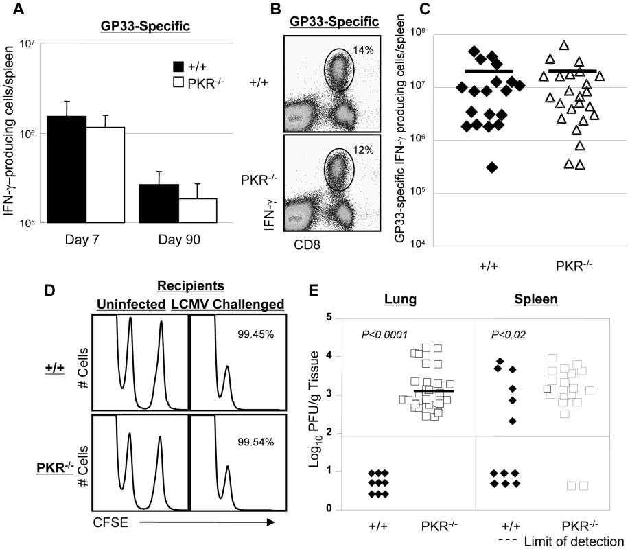 Primary and secondary CD8<sup>+</sup> T cell responses after <i>Listeria monocytogenes</i> immunization.
