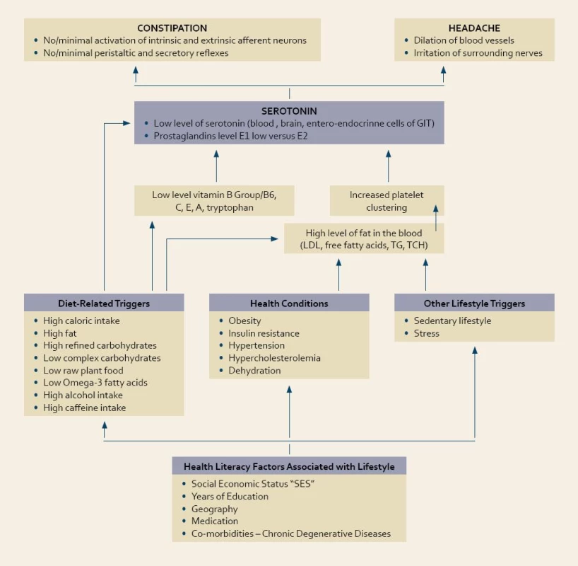 Theoretical Model of Constipation – “Low-Serotonin Syndrome©” the Public Health Problem in the 21st Century. (Copyright ©2010 by Zuzana Bic.)
Tab. 1. Teoretický model zácpy – syndrom nízké hladiny serotoninu, problém zdravotnictví 21. století.