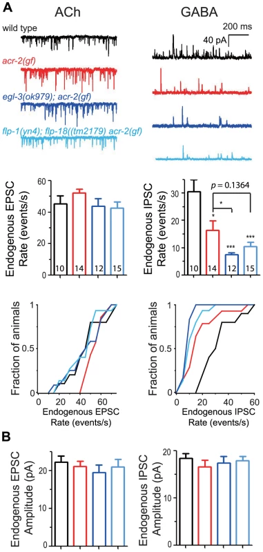 Neuropeptide modulation primarily affects GABAergic neuromuscular transmission.
