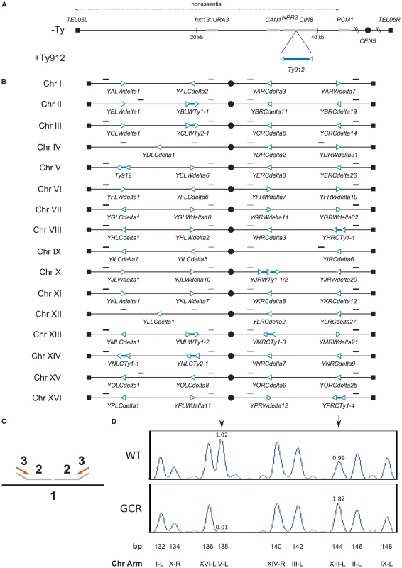 Assay model, design of MLPA telomeric and centromeric probe sets, and verification of results obtained using MLPA.