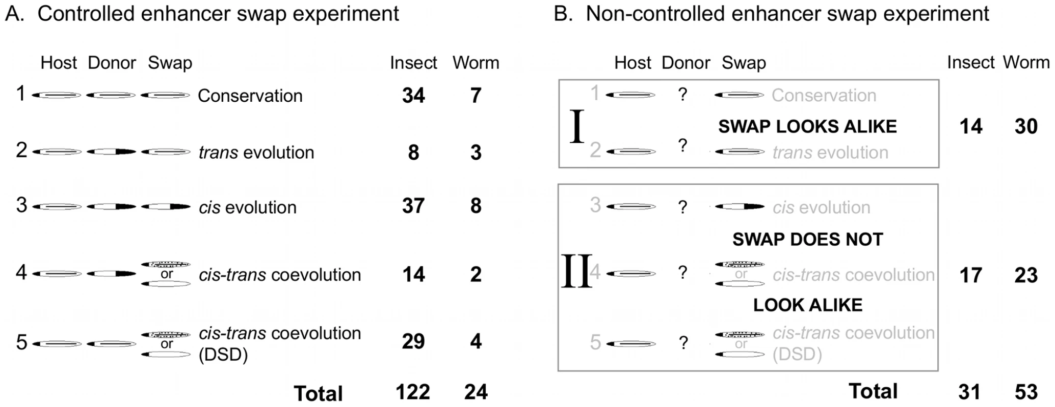 Categorized results of enhancer swap experiments.