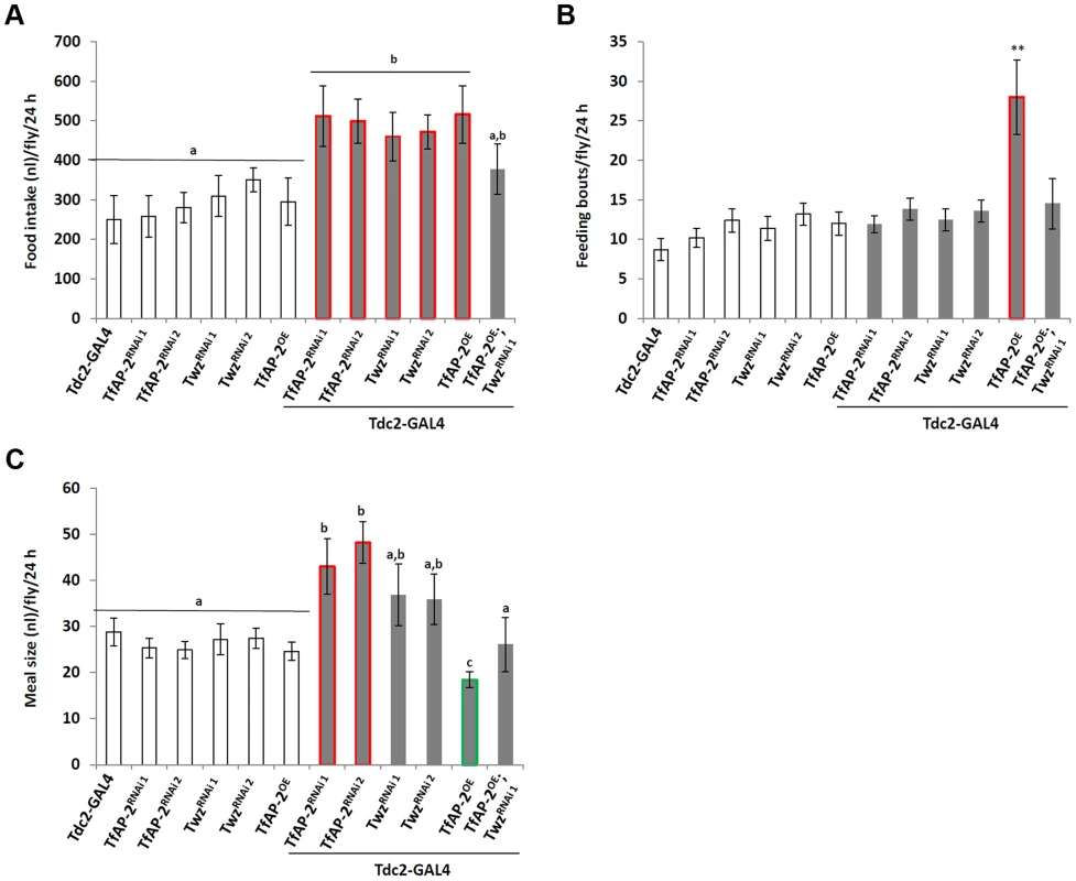 <i>TfAP-2</i> and <i>Twz</i> regulate normal feeding behavior.