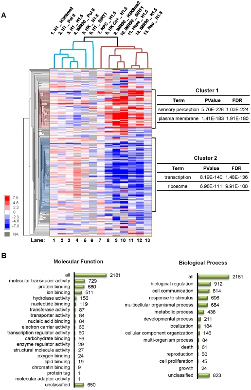 H1.5 enrichment in HGNC gene families.